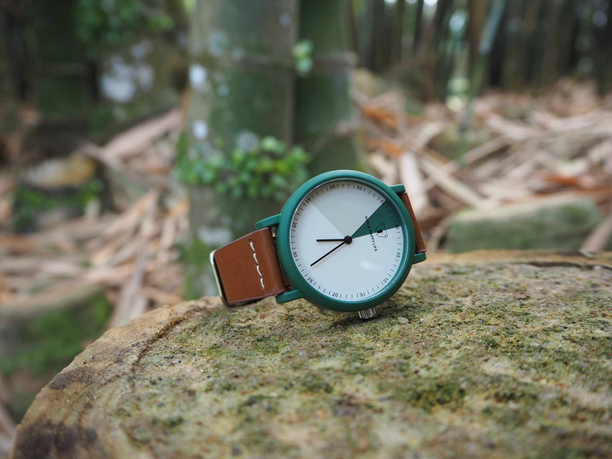 Green Vision